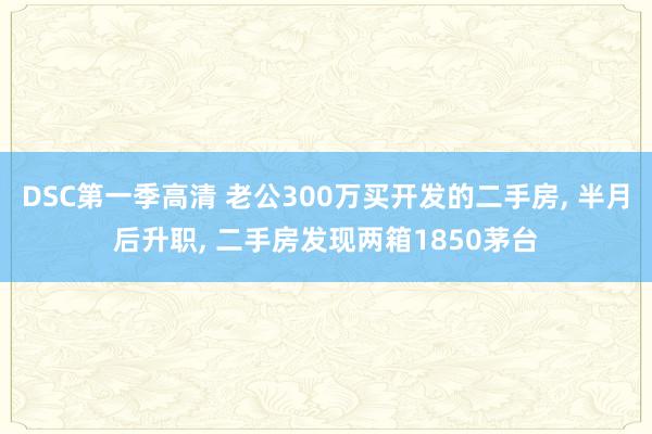 DSC第一季高清 老公300万买开发的二手房， 半月后升职， 二手房发现两箱1850茅台