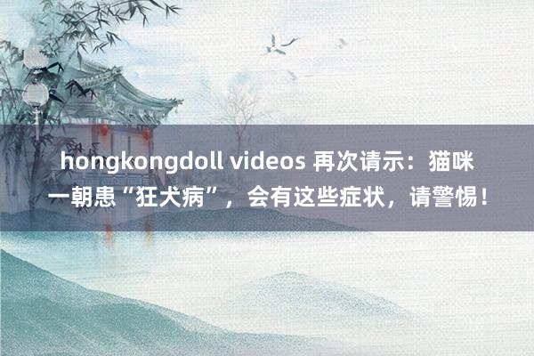 hongkongdoll videos 再次请示：猫咪一朝患“狂犬病”，会有这些症状，请警惕！