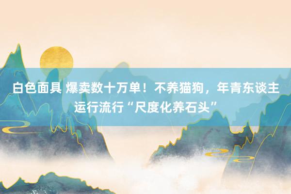白色面具 爆卖数十万单！不养猫狗，年青东谈主运行流行“尺度化养石头”