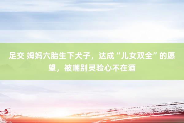 足交 姆妈六胎生下犬子，达成“儿女双全”的愿望，被嘲别灵验心不在酒