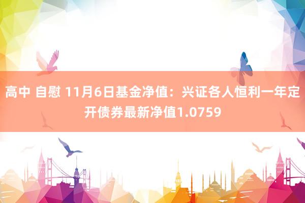 高中 自慰 11月6日基金净值：兴证各人恒利一年定开债券最新净值1.0759