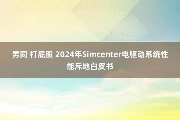 男同 打屁股 2024年Simcenter电驱动系统性能斥地白皮书