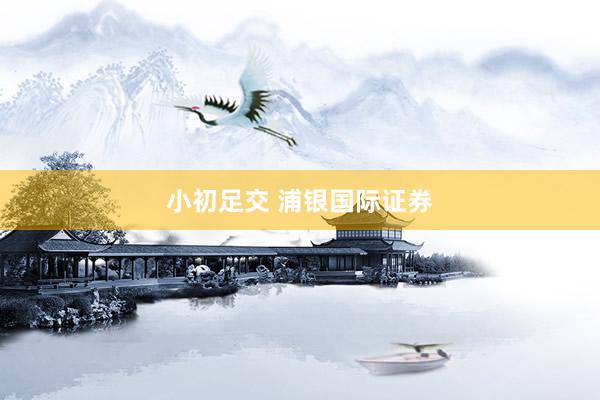 小初足交 浦银国际证券
