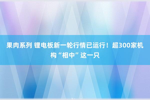 果肉系列 锂电板新一轮行情已运行！超300家机构“相中”这一只