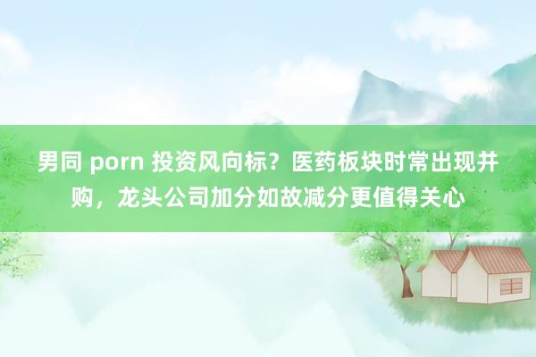 男同 porn 投资风向标？医药板块时常出现并购，龙头公司加分如故减分更值得关心