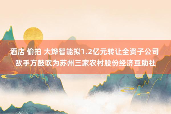 酒店 偷拍 大烨智能拟1.2亿元转让全资子公司 敌手方鼓吹为苏州三家农村股份经济互助社