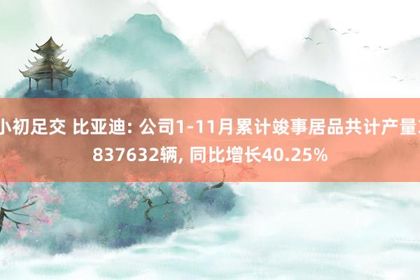 小初足交 比亚迪: 公司1-11月累计竣事居品共计产量3837632辆， 同比增长40.25%