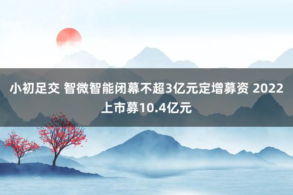 小初足交 智微智能闭幕不超3亿元定增募资 2022上市募10.4亿元