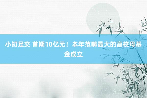 小初足交 首期10亿元！本年范畴最大的高校母基金成立