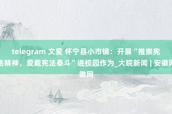 telegram 文爱 怀宁县小市镇：开展“推崇宪法精神，爱戴宪法泰斗”进校园作为_大皖新闻 | 安徽网