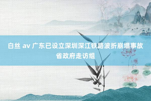 白丝 av 广东已设立深圳深江铁路波折崩塌事故省政府走访组