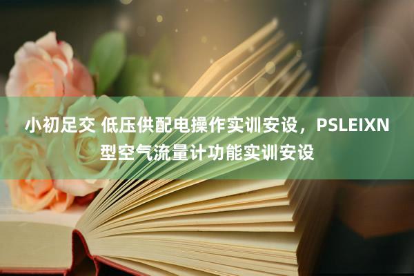 小初足交 低压供配电操作实训安设，PSLEIXN型空气流量计功能实训安设