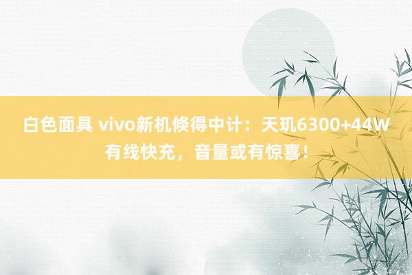 白色面具 vivo新机倏得中计：天玑6300+44W有线快充，音量或有惊喜！