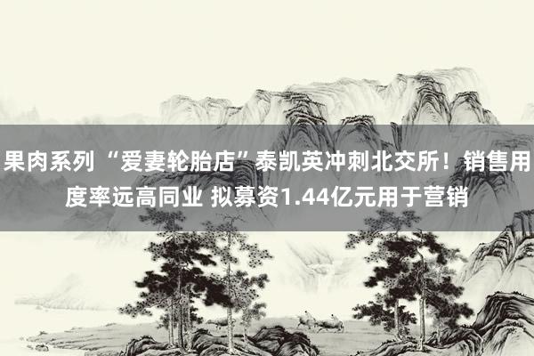 果肉系列 “爱妻轮胎店”泰凯英冲刺北交所！销售用度率远高同业 拟募资1.44亿元用于营销
