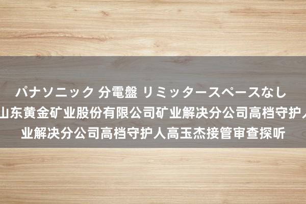 パナソニック 分電盤 リミッタースペースなし 露出・半埋込両用形 山东黄金矿业股份有限公司矿业解决分公司高档守护人高玉杰接管审查探听