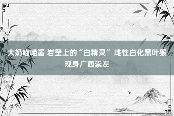 大奶喵喵酱 岩壁上的“白精灵” 雌性白化黑叶猴现身广西崇左