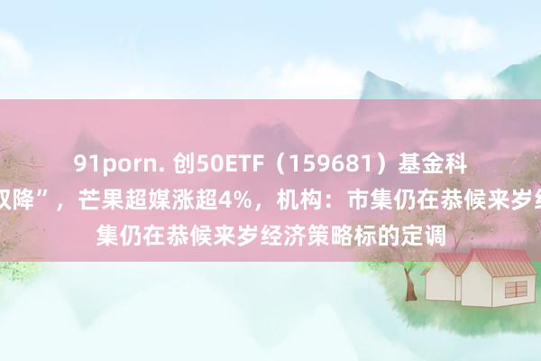 91porn. 创50ETF（159681）基金科罚费、托管费 “双降”，芒果超媒涨超4%，机构：市集仍在恭候来岁经济策略标的定调