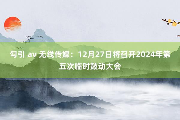 勾引 av 无线传媒：12月27日将召开2024年第五次临时鼓动大会