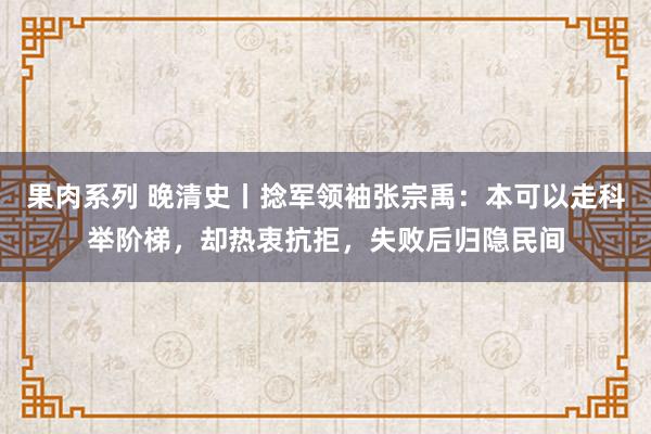 果肉系列 晚清史丨捻军领袖张宗禹：本可以走科举阶梯，却热衷抗拒，失败后归隐民间