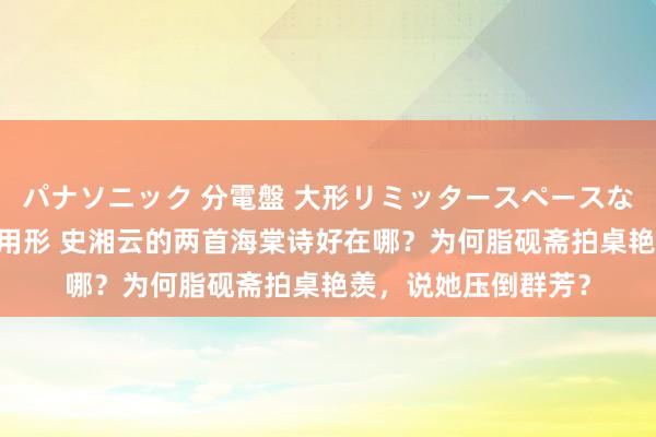 パナソニック 分電盤 大形リミッタースペースなし 露出・半埋込両用形 史湘云的两首海棠诗好在哪？为何脂砚斋拍桌艳羡，说她压倒群芳？