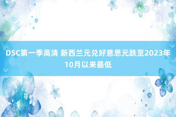 DSC第一季高清 新西兰元兑好意思元跌至2023年10月以来最低