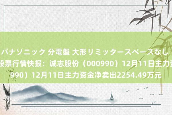 パナソニック 分電盤 大形リミッタースペースなし 露出・半埋込両用形 股票行情快报：诚志股份（000990）12月11日主力资金净卖出2254.49万元