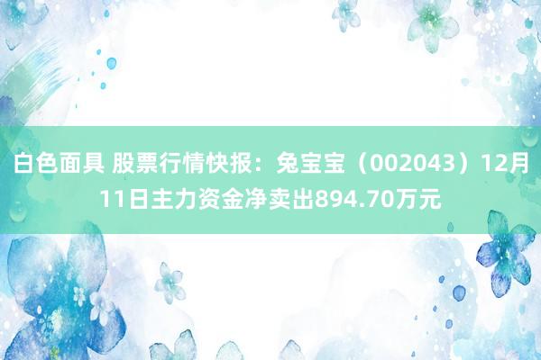 白色面具 股票行情快报：兔宝宝（002043）12月11日主力资金净卖出894.70万元