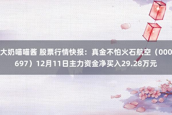 大奶喵喵酱 股票行情快报：真金不怕火石航空（000697）12月11日主力资金净买入29.28万元