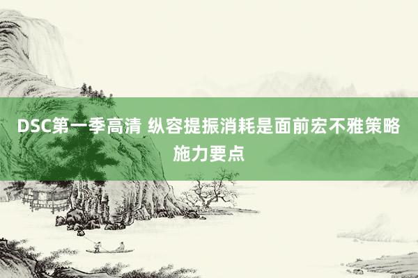 DSC第一季高清 纵容提振消耗是面前宏不雅策略施力要点