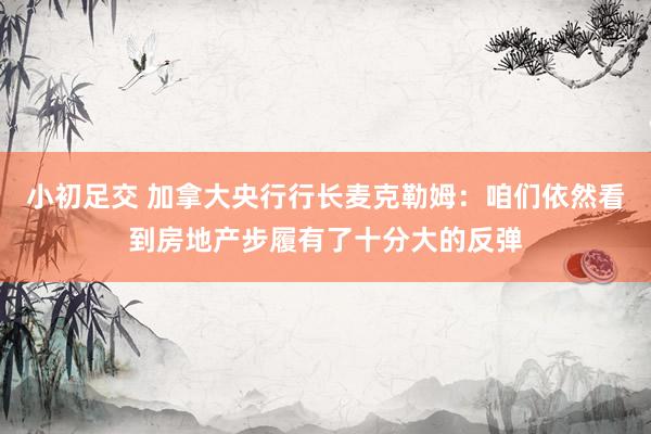 小初足交 加拿大央行行长麦克勒姆：咱们依然看到房地产步履有了十分大的反弹