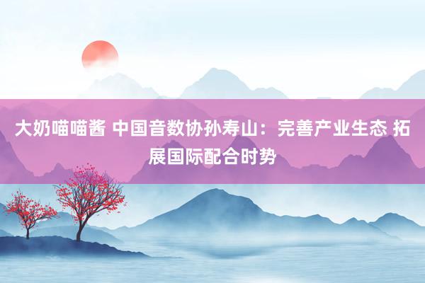 大奶喵喵酱 中国音数协孙寿山：完善产业生态 拓展国际配合时势