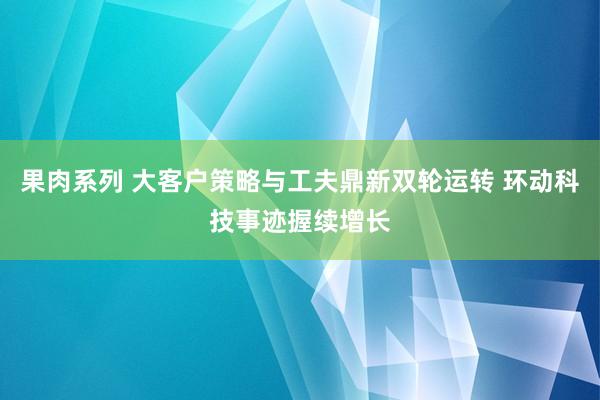 果肉系列 大客户策略与工夫鼎新双轮运转 环动科技事迹握续增长