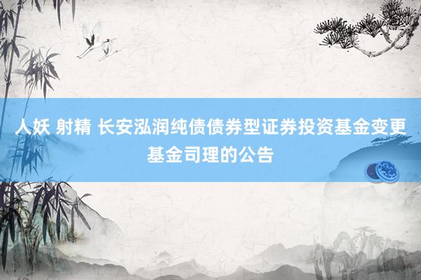 人妖 射精 长安泓润纯债债券型证券投资基金变更基金司理的公告