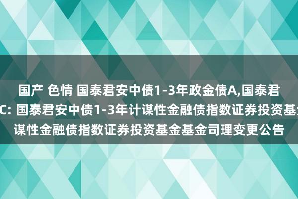 国产 色情 国泰君安中债1-3年政金债A，国泰君安中债1-3年政金债C: 国泰君安中债1-3年计谋性金融债指数证券投资基金基金司理变更公告