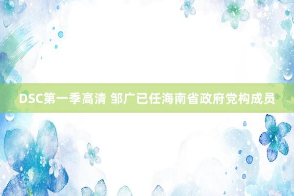DSC第一季高清 邹广已任海南省政府党构成员