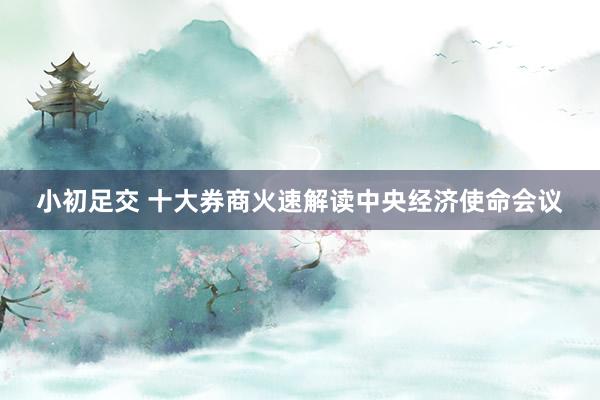 小初足交 十大券商火速解读中央经济使命会议
