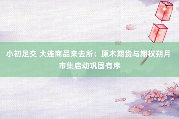 小初足交 大连商品来去所：原木期货与期权朔月 市集启动巩固有序