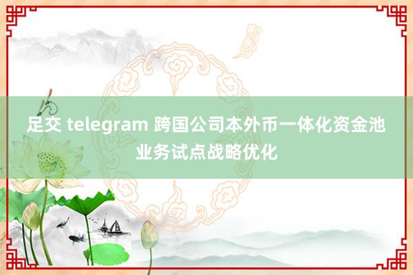 足交 telegram 跨国公司本外币一体化资金池业务试点战略优化