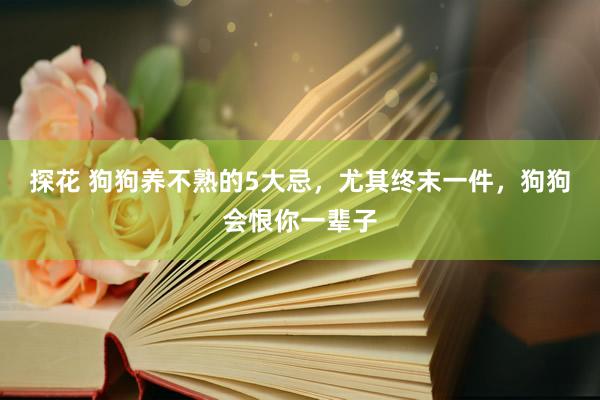 探花 狗狗养不熟的5大忌，尤其终末一件，狗狗会恨你一辈子