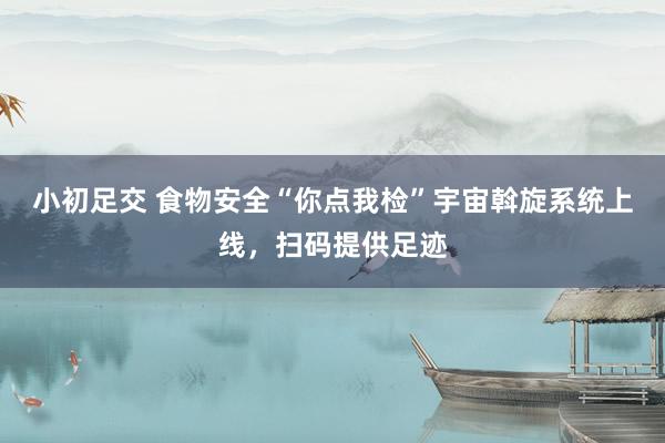 小初足交 食物安全“你点我检”宇宙斡旋系统上线，扫码提供足迹