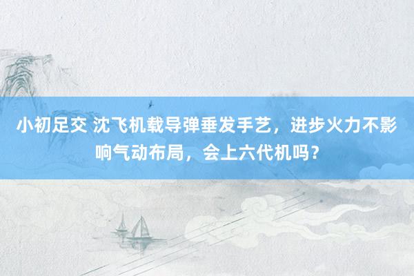 小初足交 沈飞机载导弹垂发手艺，进步火力不影响气动布局，会上六代机吗？