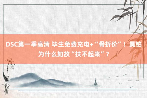 DSC第一季高清 毕生免费充电+“骨折价”！昊铂为什么如故“扶不起来”？