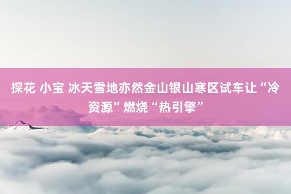 探花 小宝 冰天雪地亦然金山银山寒区试车让“冷资源”燃烧“热引擎”