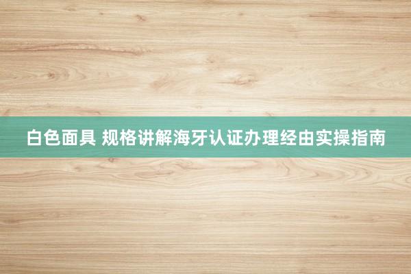 白色面具 规格讲解海牙认证办理经由实操指南