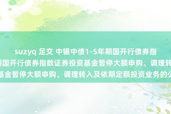 suzyq 足交 中银中债1-5年期国开行债券指数: 对于中银中债1-5年期国开行债券指数证券投资基金暂停大额申购、调理转入及依期定额投资业务的公告
