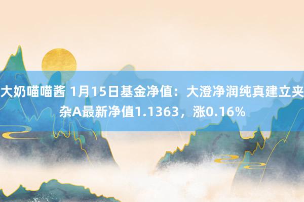 大奶喵喵酱 1月15日基金净值：大澄净润纯真建立夹杂A最新净值1.1363，涨0.16%