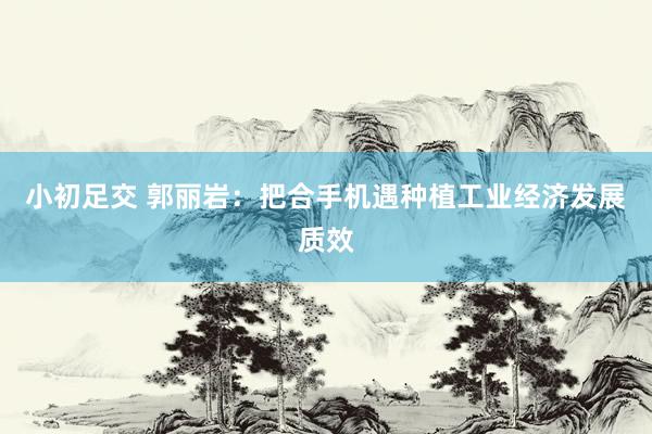 小初足交 郭丽岩：把合手机遇种植工业经济发展质效