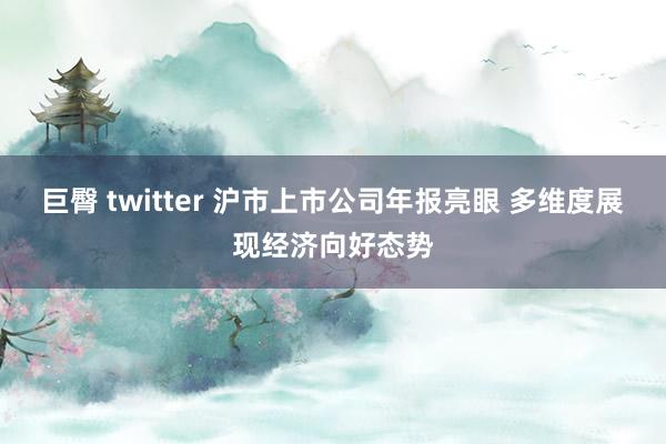 巨臀 twitter 沪市上市公司年报亮眼 多维度展现经济向好态势