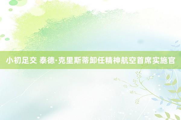 小初足交 泰德·克里斯蒂卸任精神航空首席实施官