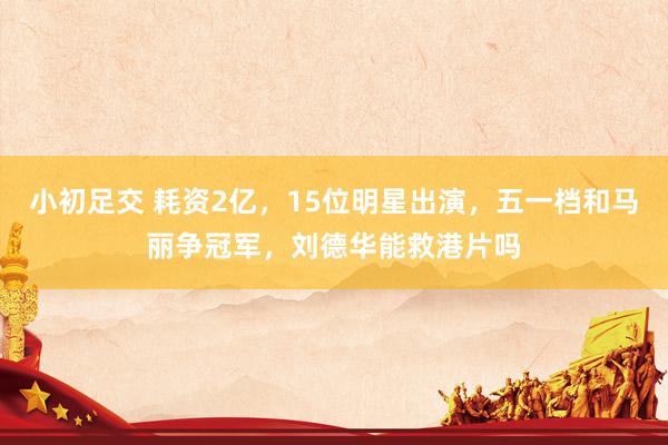 小初足交 耗资2亿，15位明星出演，五一档和马丽争冠军，刘德华能救港片吗